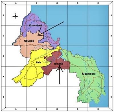 Building research capacity for sickle cell disease in Africa: Lessons and challenges from establishing a birth cohort in Tanzania